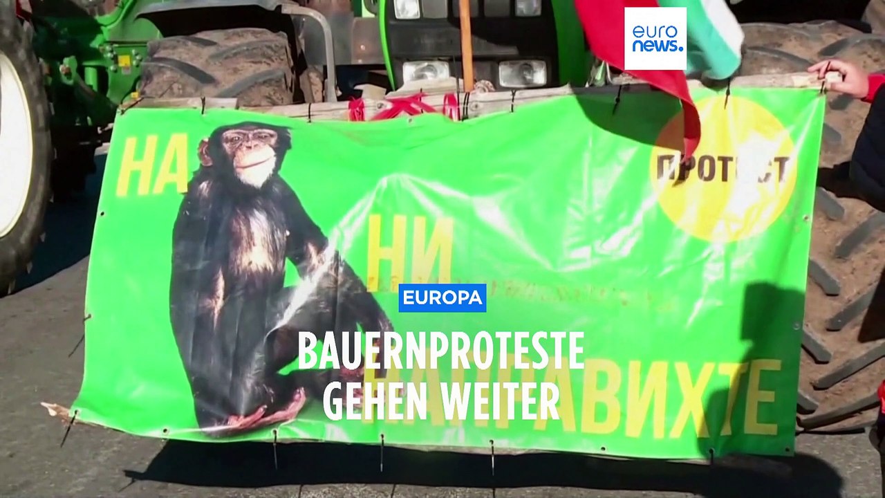 Wütende Bauernproteste gehen weiter: 'Sie lassen uns nicht arbeiten'