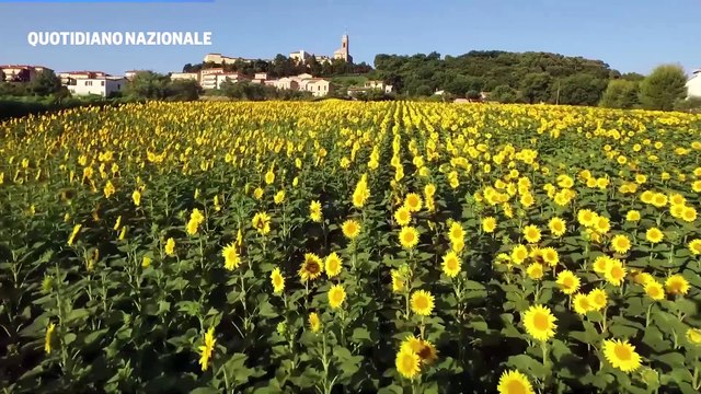 Milano, le voci dalla BIT fanno luce sui nuovi trend del turismo: viaggi personalizzati e sostenibili
