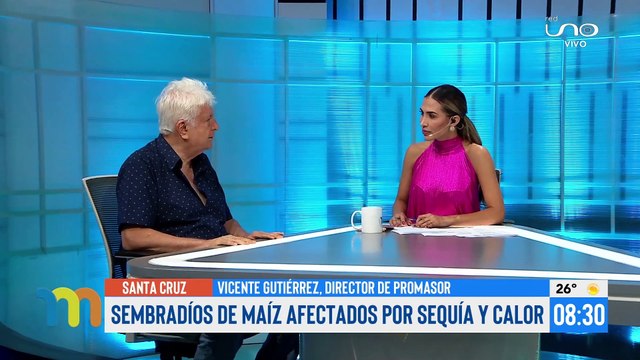 Sembradíos de maíz afectados por sequía y calor