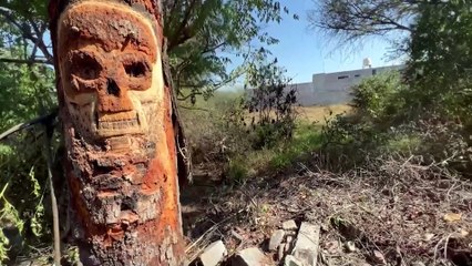 Recorrido Paranormal - UN NIÑO EN EL PANTEON