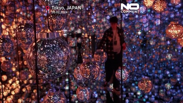 Полное погружение в мир красоты и света : новая выставка в Музее teamLab Borderless