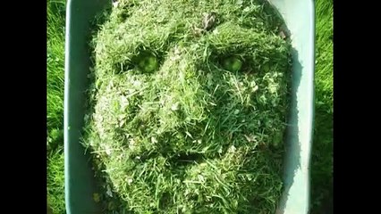 Programme des courts métrages documentaires nommés aux César 2024 Bande-annonce VF