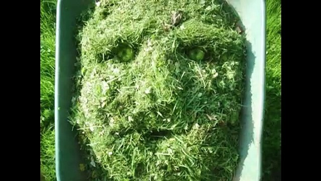 Programme des courts métrages documentaires nommés aux César 2024 Bande-annonce VF