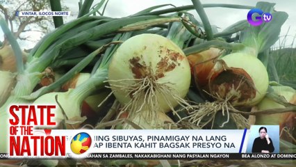 Mga inaning sibuyas, pinamigay na lang dahil hirap ibenta kahit bagsak presyo na | SONA