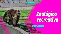 Buena Vibra  | Parque Zoológico Caricuao una buena opción para la recreación familiar en Carnavales