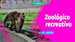 Buena Vibra  | Parque Zoológico Caricuao una buena opción para la recreación familiar en Carnavales
