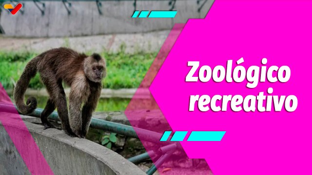Buena Vibra | Parque Zoológico Caricuao una buena opción para la recreación familiar en Carnavales