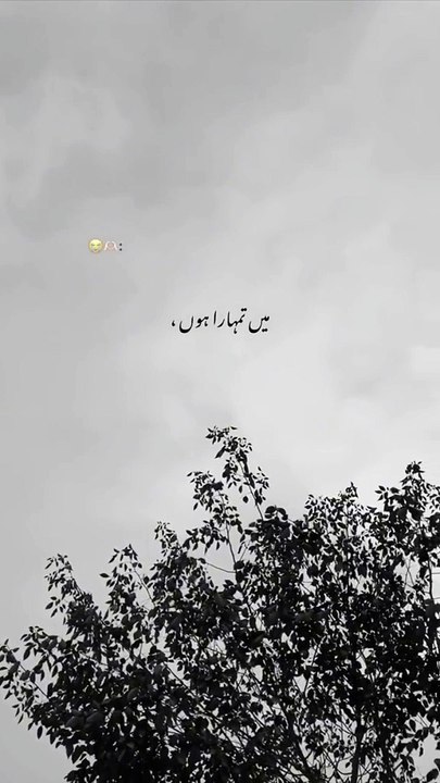 Poetry