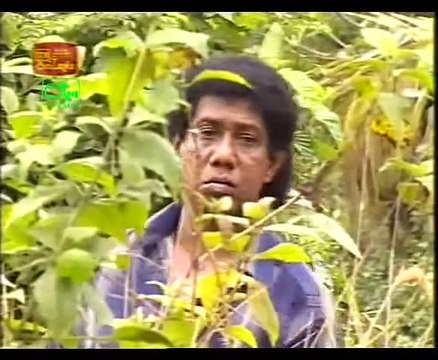 1014 කෝපි කඩේ ටෙලි නාට්‍යයේ කතාංගය KopiKade ep 1014