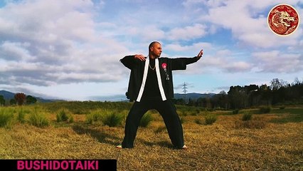Ba Duan Jin qigong los (8 brocados de seda)八段锦(MOVIMIENTO DEL ARCO ) 2º EJERCICIO