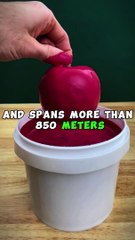 Facts That Will Blow Your Mind! #Short