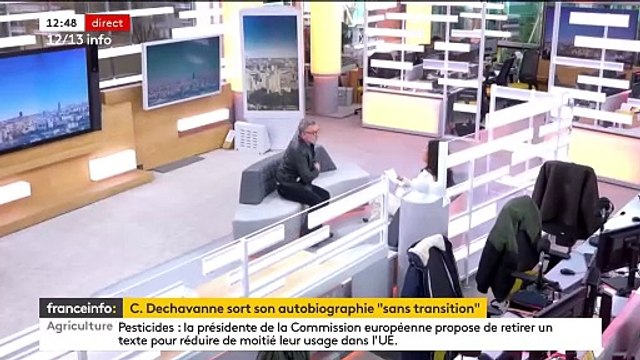 Je croyais que vous étiez un professionnel... : Échanges tendus entre Christophe Dechavanne et Émilie Tran Nguyen sur franceinfo.