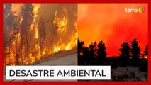 Incêndios florestais de grandes proporções deixam ao menos 123 mortos no Chile