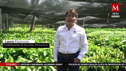 Por Amor al Cacao, celebra diez años de compromiso con el campo mexicano