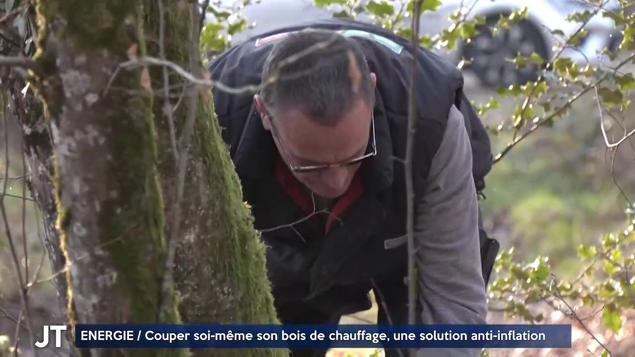 ENERGIE / Couper soi-même son bois de chauffage, une solution anti-inflation