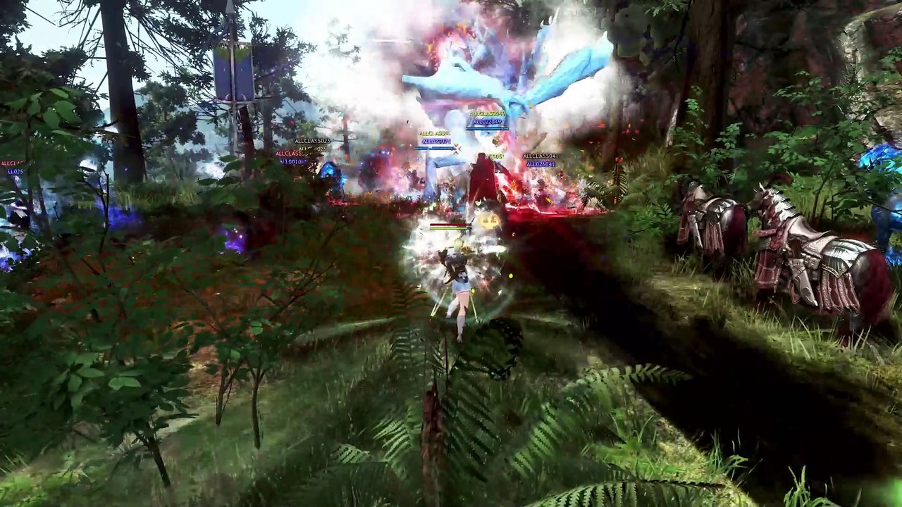 Black Desert Online erklärt euch, was ihr im neuen PvP-Modus zu tun habt