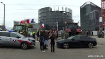 La protesta dei trattori a Strasburgo davanti al Parlamento europeo