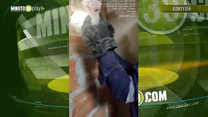 Rescataron a un gato tras quedar atrapado entre dos paredes en Cali