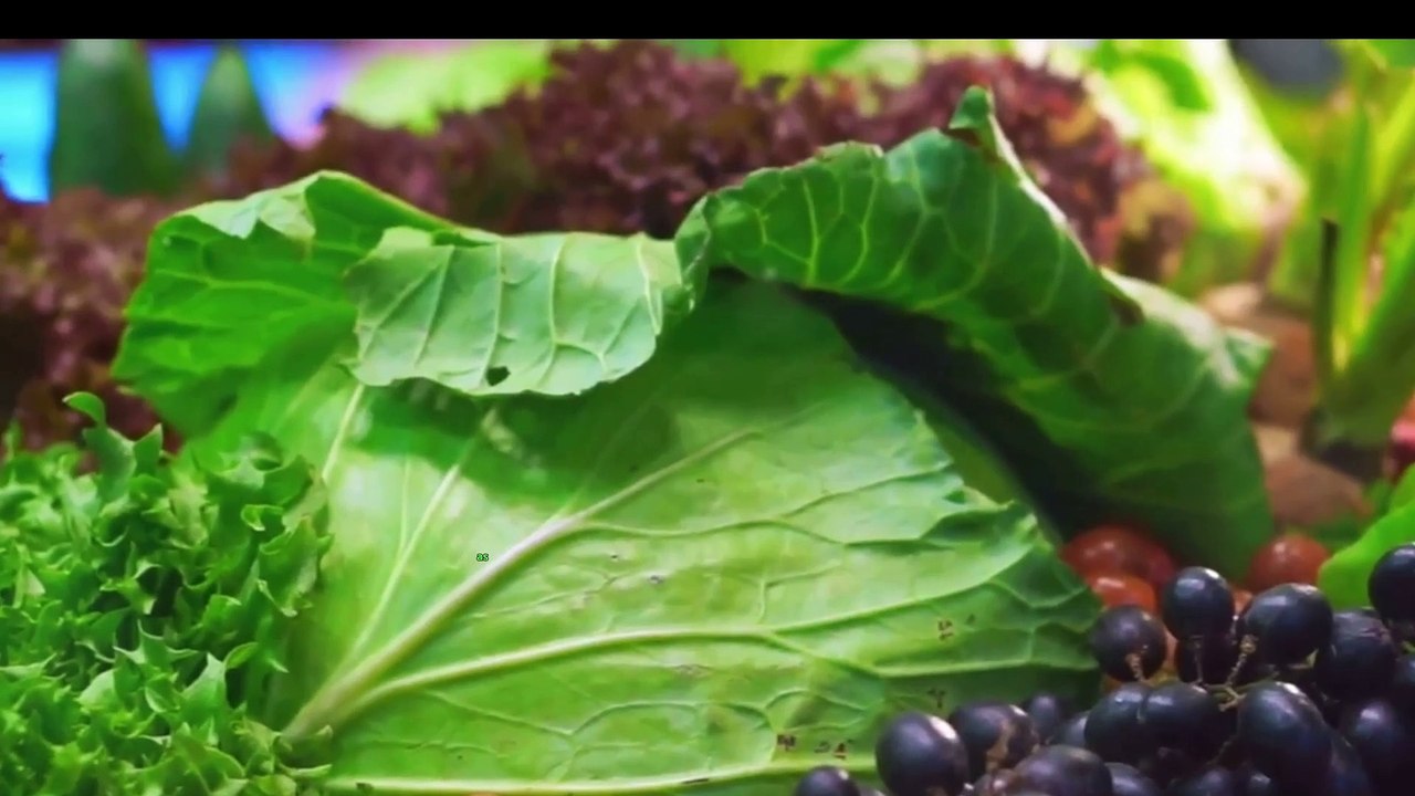 Fountain of Youth  Top 8 Anti Aging Food After 50