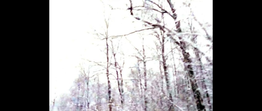 All I Want For christmass is you PARODY COVER VERSION SPOOF SUNG BY TOAD!