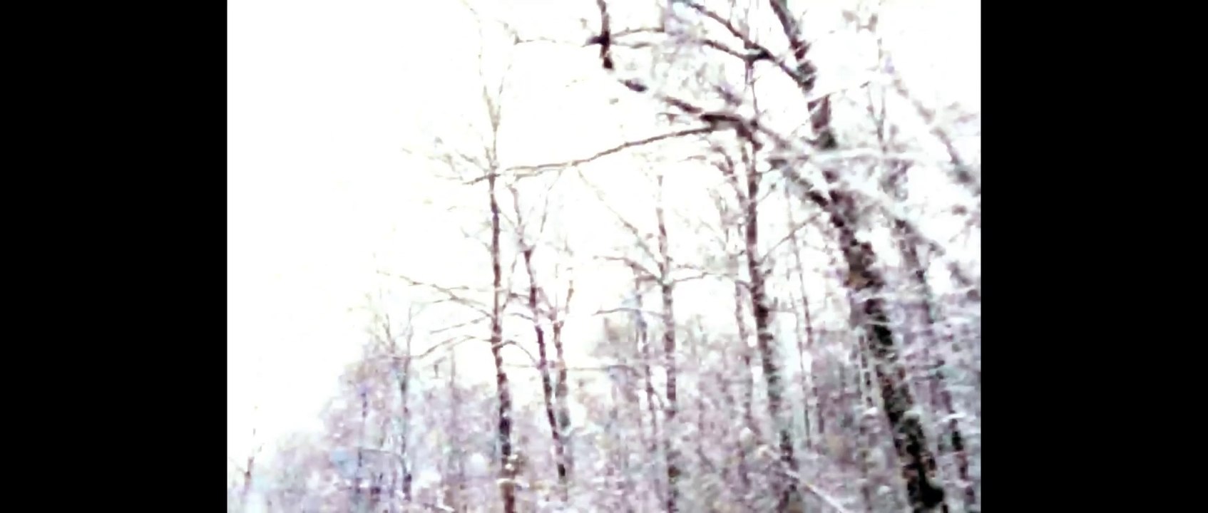 All I Want For christmass is you PARODY COVER VERSION SPOOF SUNG BY TOAD!