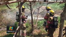 tn7-Incendios-en-charrales-se-convierten-en-un-dolor-de-cabeza-para-bomberos-060224