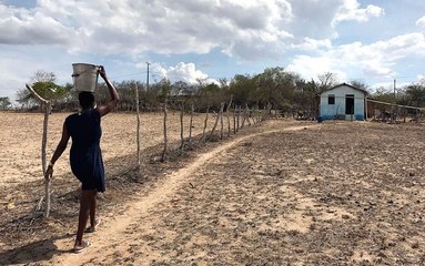 Com falta de chuvas, Santa Helena, Uiraúna e São José de Caiana entram em situação de emergência