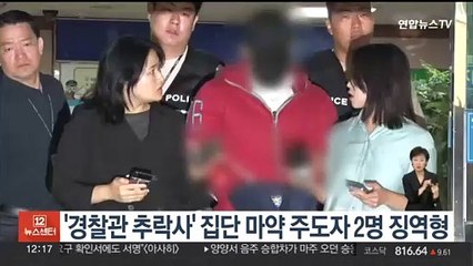 '경찰관 추락사' 집단 마약 주도자 2명 징역형