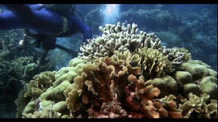 THE BERMUDA TRIANGLE _ EXCLUSIVE PREMIERE _ FULL HD ACTION MOVIE IN ENGLISH _ V MOVIES