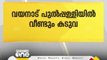 വയനാട് പുല്‍പ്പള്ളിയില്‍ വീണ്ടും കടുവ