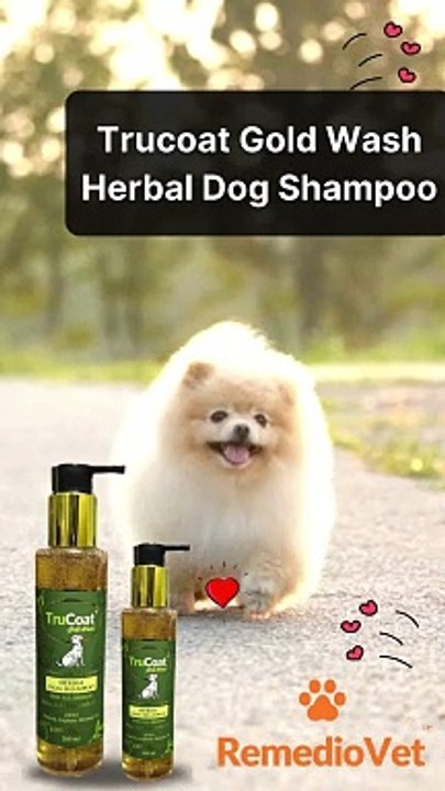 Trucoat Gold Wash Herbal Dog Shampoo