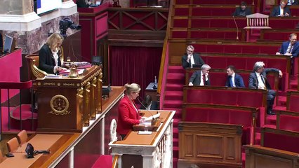 1ère séance : Motion de censure déposée en application de l'article 49, alinéa 2, de la Constitution  - Lundi 5 février 2024