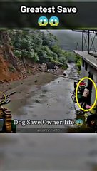 Greatest Save ❤️  #motivation #respect #viral #love __ Respect Ep-275