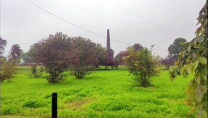 जिले में कई जगह बारिश व बूंदाबांदी से फसलों को फायदा