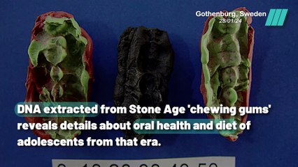 Chewing Gum DNA Reveals the Secrets of Prehistory