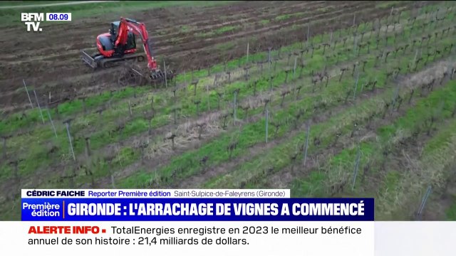 C'est un crève-cœur : un viticulteur du Bordelais témoigne de l'arrachage de ses vignes