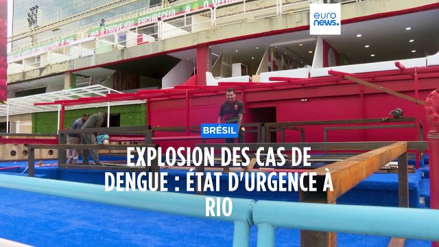 Explosion des cas de dengue au Brésil, Rio en état d'urgence à deux jours de l'ouverture du carnaval