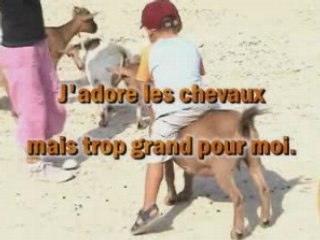 COMEDIE YANIS "J'AI PAS PEUR DES CHEVRES"