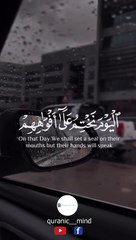 Quran Kareem - ‎‏‎#قرآن_كريم #quranic_mind