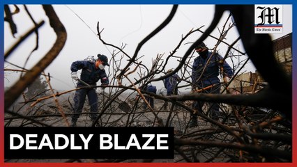 Chile wildfire claims 131 lives, over 300 missing