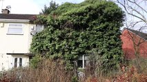 House swallowed by trees allowed to grow out of control for 40 years