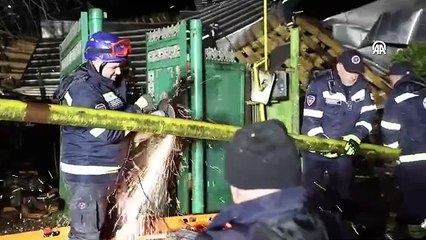 Gürcistan'da toprak kaymaları sonucu 5 kişi öldü