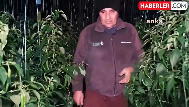 Antalya Büyükşehir Belediyesi Çiftçilere Dijital Tarım Desteği Sağlıyor