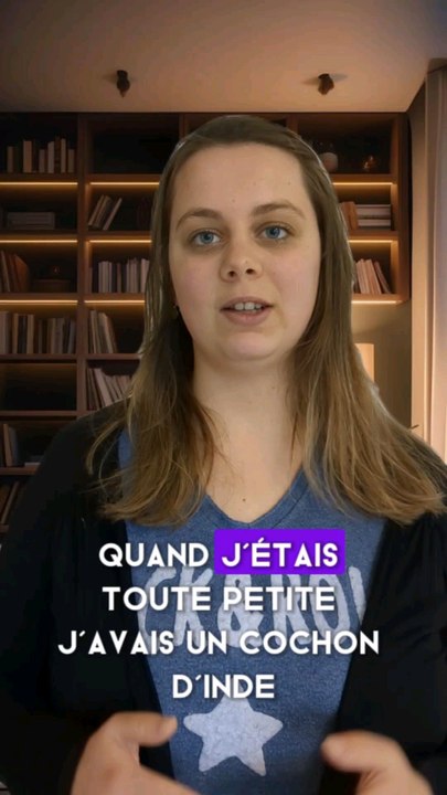 5 infos insolites sur les cochons d'Inde !