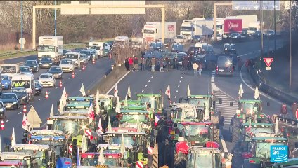 L'UE recule sur plusieurs mesures de protection de la biodiversité pour calmer la colère des agriculteurs européens