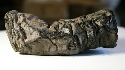 Watch: First passages of Herculaneum scroll deciphered by AI