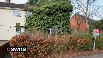 House swallowed by trees allowed to grow out of control for 40 years