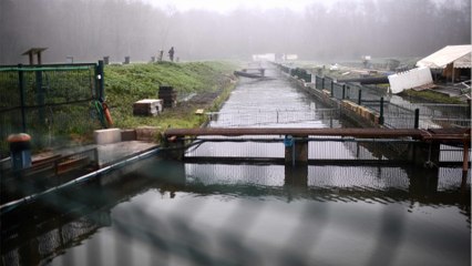 Disparition inquiétante d’Aurélia, 20 ans, en Gironde : le corps de la jeune femme retrouvé sans vie