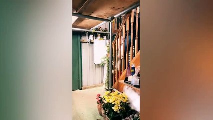 try not to laugh  funny scare video 2024