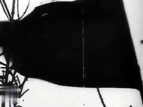 Летопись полувека. Похороны В. И. Ленина. Год 1924. (1968)